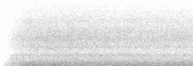 Гракл пурпуровошиїй (підвид versicolor) - ML585557141