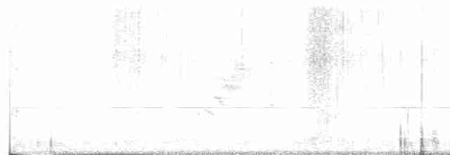 アカメモズモドキ - ML585567281