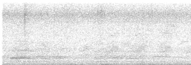 Краснохвостая чачалака - ML585568921