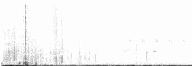 Büyük Çil Yelvesi - ML585585251
