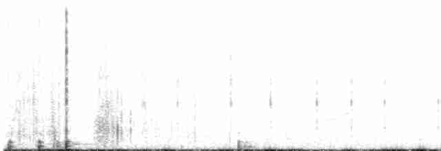 Büyük Çil Yelvesi - ML585585261