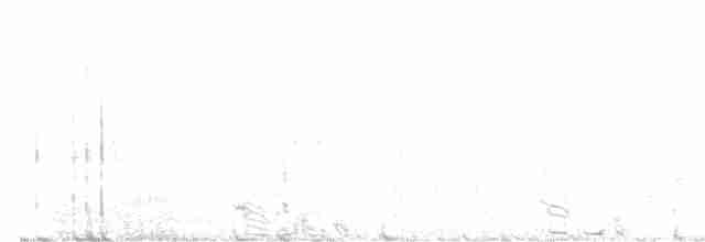 Sharp-tailed Grouse - ML585707351