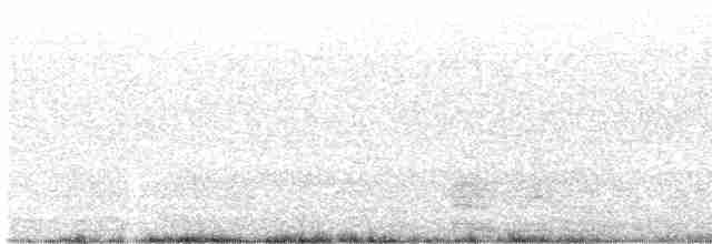 Evening Grosbeak (type 2) - ML585723261