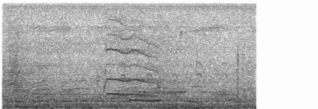 Large-billed Tern - ML585771531