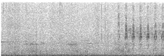 strakapoud bělohřbetý - ML585791561