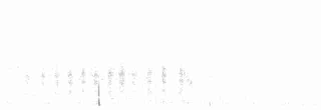 Woodchat Shrike - ML585926091