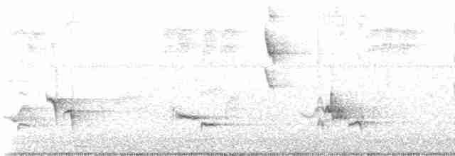 Пересмішник сірий - ML585940351