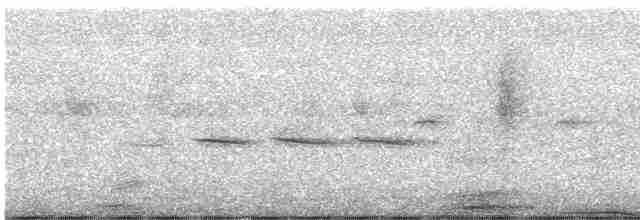 Гаїчка-пухляк звичайна [група montanus] - ML585952291