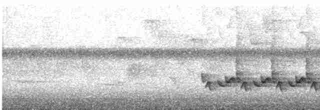 Каролинский крапивник - ML585958491