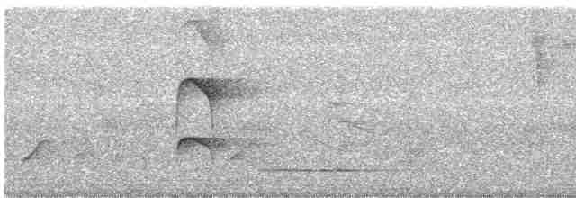 Thicket Tinamou - ML586004001