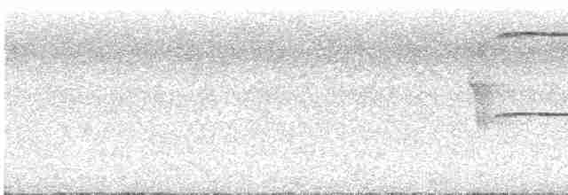 Ширококрылый канюк - ML586004011