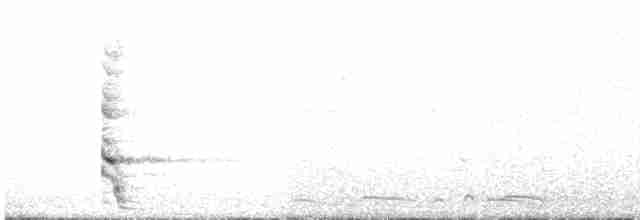 Geai à nuque blanche - ML586057231