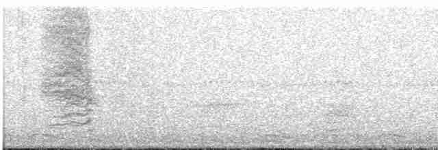 Geai à nuque blanche - ML586057261