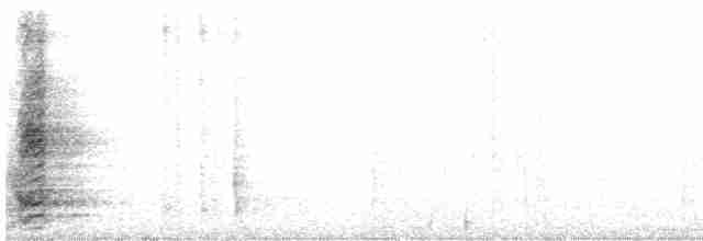 Медолюб-сережник східний - ML586112221