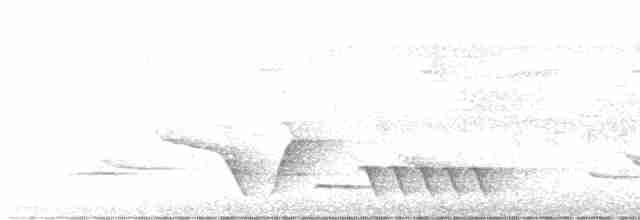 Чернозобый крапивник - ML586158961