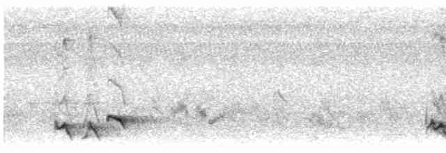 Ardıç Benekli Kıvrıkgaga - ML586186981