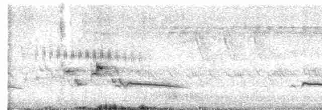 Gray-bellied Cuckoo - ML586192181