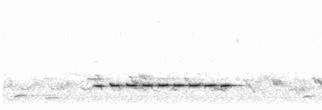 Buff-chested Babbler - ML586199731