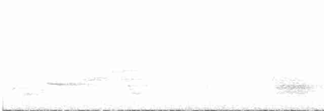 Northern Marquesan Reed Warbler - ML586210611
