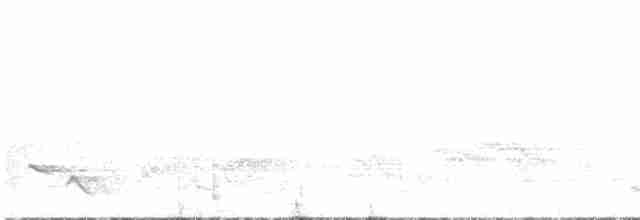 Beyaz Tepeli Meyve Kumrusu - ML586213041