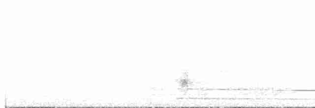 Northern Marquesan Reed Warbler - ML586214731