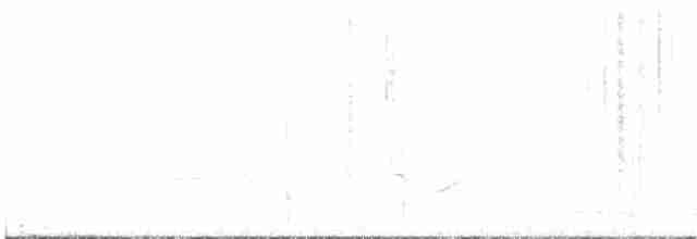 Northern Marquesan Reed Warbler - ML586214751
