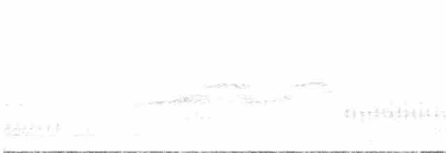 黑玄燕鷗 - ML586215531