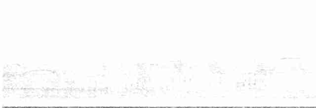 nody bělotemenný - ML586215591