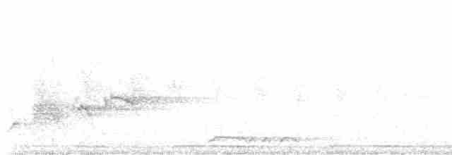 Beyaz Tepeli Meyve Kumrusu - ML586219321