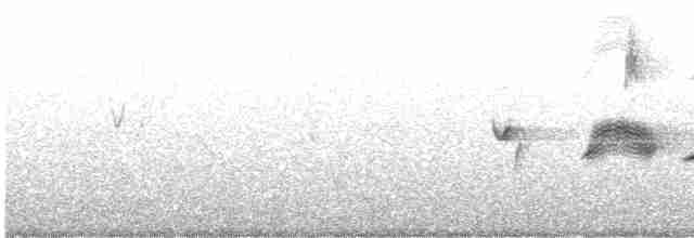 Пестрогрудая овсянка [группа schistacea] - ML586235081