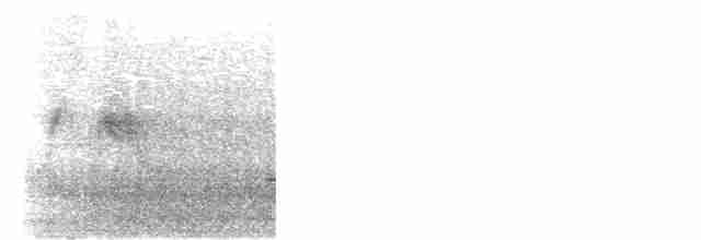 Ивовый мухолов - ML586250111