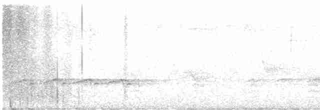 Cerulean Warbler - ML586253931