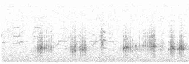 Great Reed Warbler - ML586254101