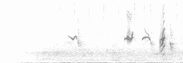 Red-tailed Shrike - ML586272841