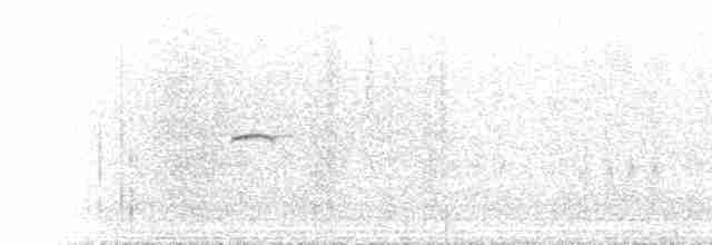 Common Chiffchaff (Siberian) - ML586274431