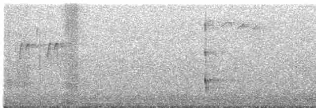 Черноспинный трёхпалый дятел - ML586274731