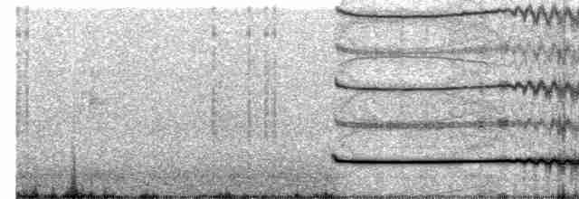 Little Tinamou - ML586283051