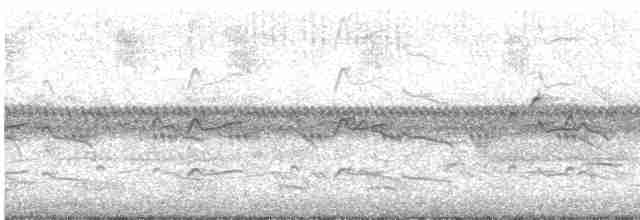 Oriole des vergers - ML586288461