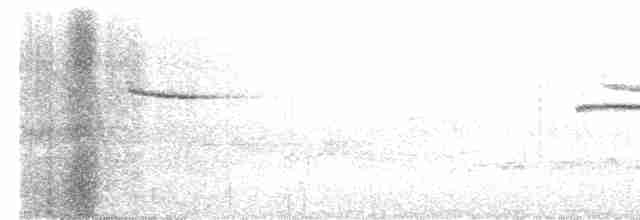 白斑紫嘯鶇 - ML586292951