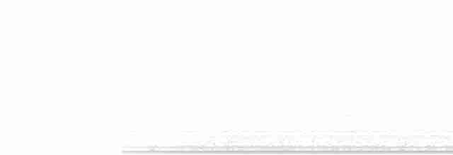 Cerulean Warbler - ML586301401