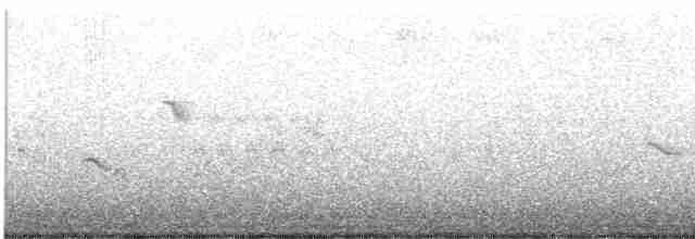 Ивовый мухолов - ML586309731