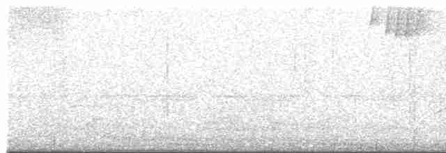 Purplish-mantled Tanager - ML586326071