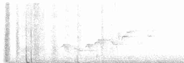 Дрізд-короткодзьоб Cвенсона - ML586333861