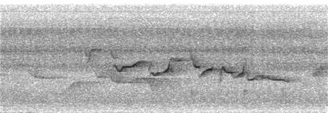Серогорлая гранателла - ML58634891