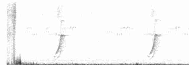斑胸秧雞 - ML586372621