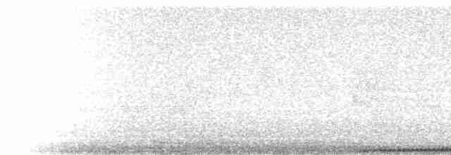 holub pruhoocasý - ML586401531