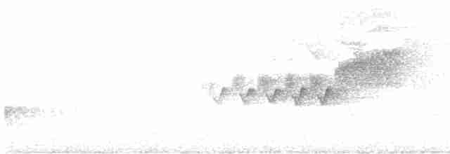 Cerulean Warbler - ML586412911