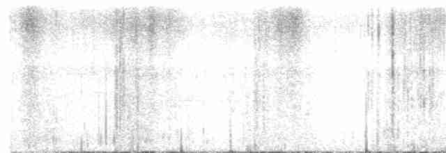 Пестроклювая поганка - ML586416981