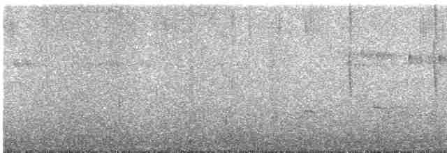 Широкохвостый колибри - ML586448791