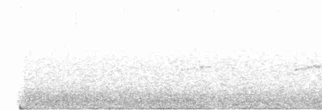 Ріроріро сірий - ML586528471